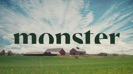 „Monster” sausas maistas šunims ir katėms: dviguba nauda dantims ir virškinimui