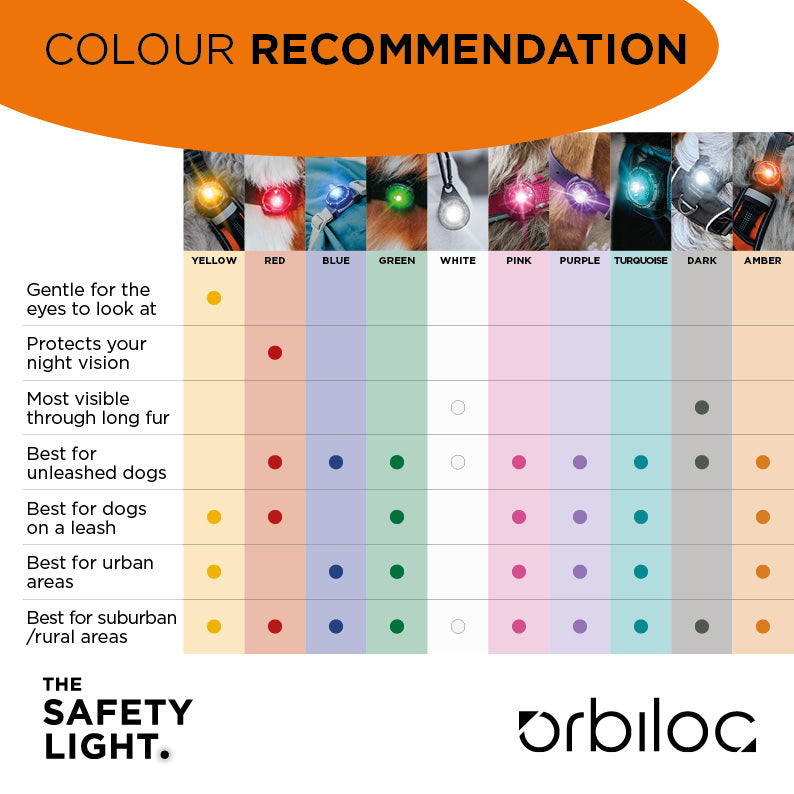 LED saugos lemputė šunims "Orbiloc Dog Dual"