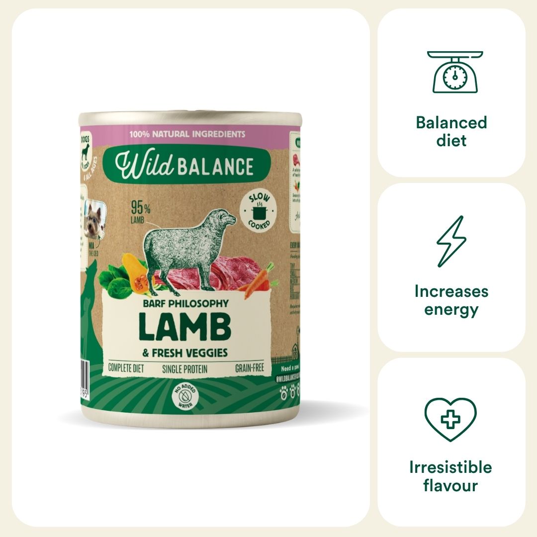Wild Balance vieno baltymo šlapias maistas šunims su ėriena