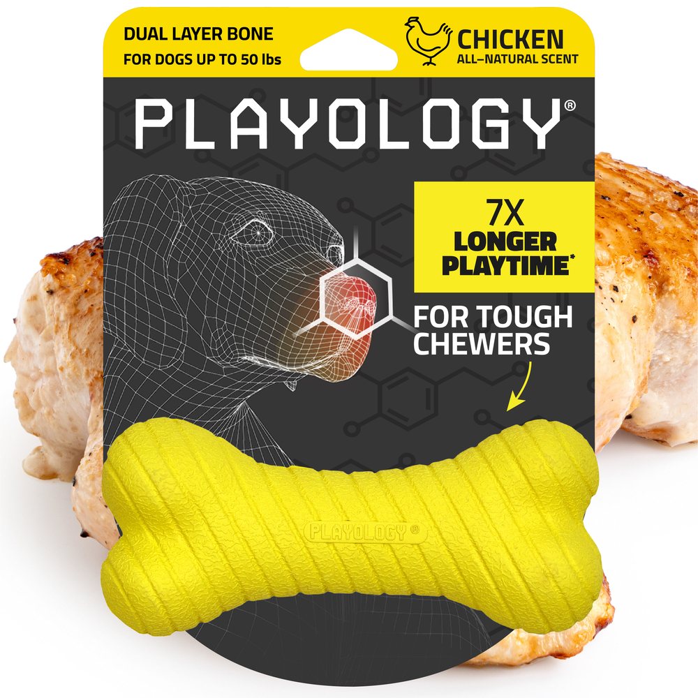 Dvisluoksnis kaulas šunims su natūraliu kvapu "Playology Dual Layer Bone"