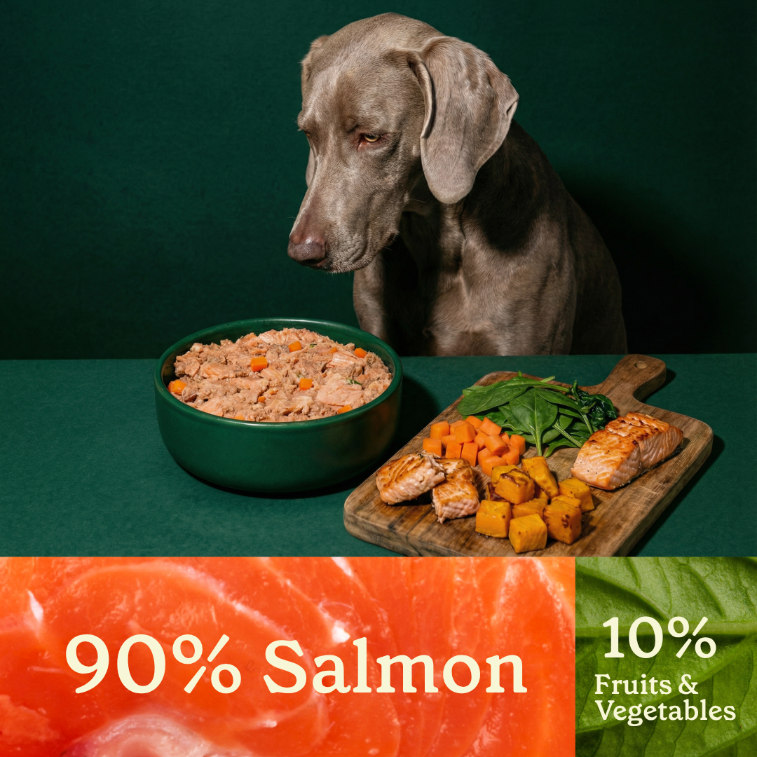 Wild Balance Cooked Dog Food with Salmon