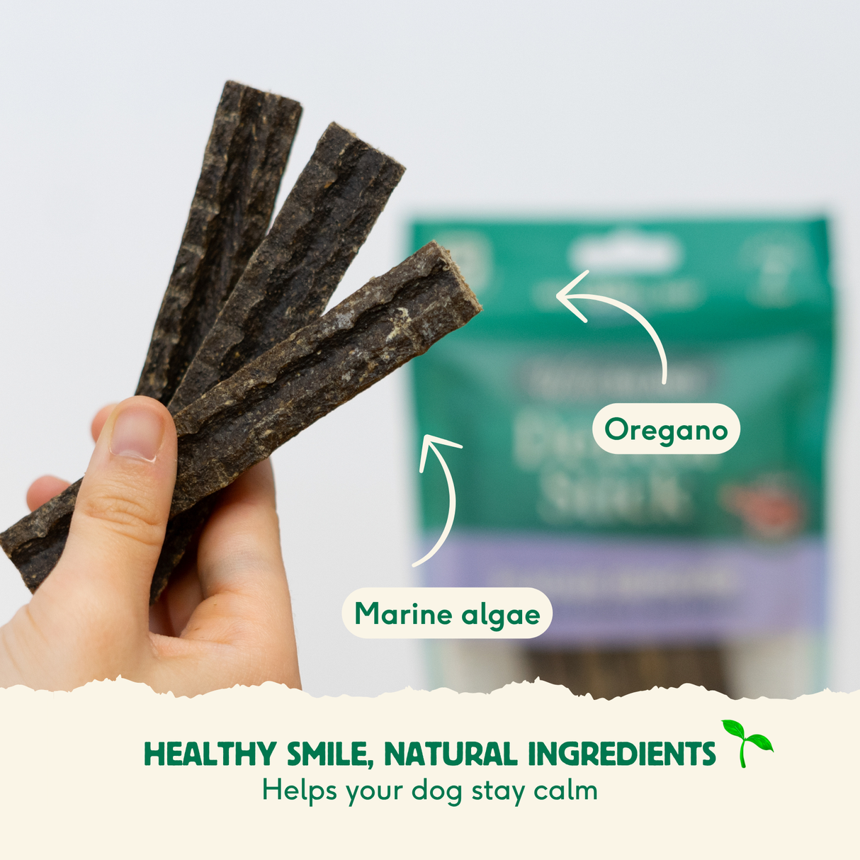 Wild Balance Dental Sticks for Dogs with Beef – for tartar removal