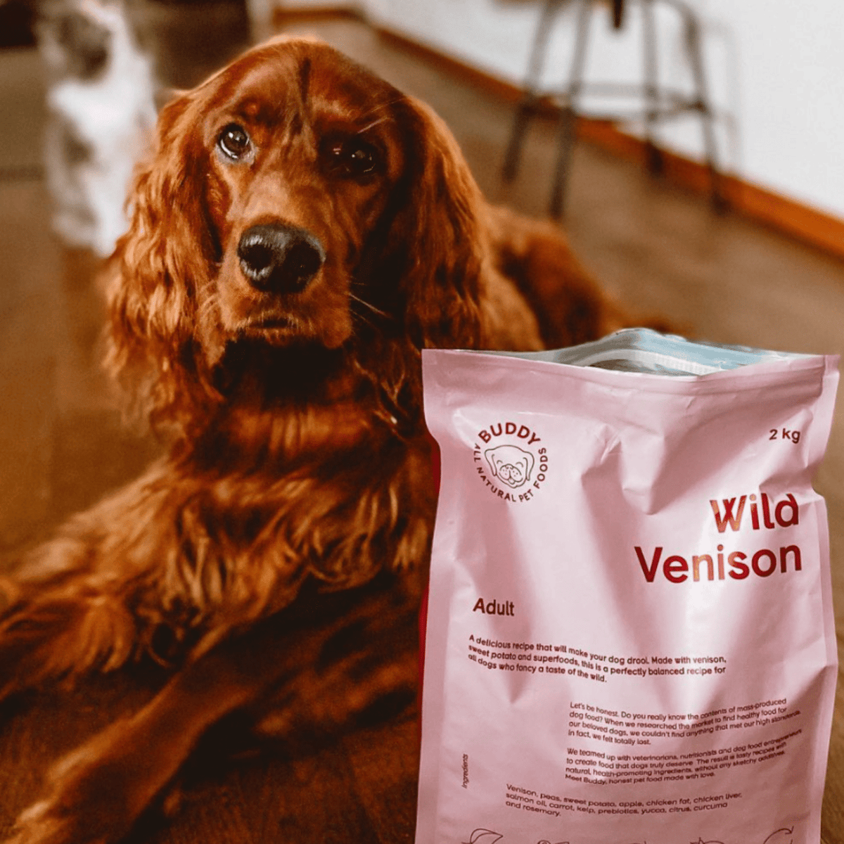 Buddy Wild Venison begrūdis sausas maistas šunims su elniena