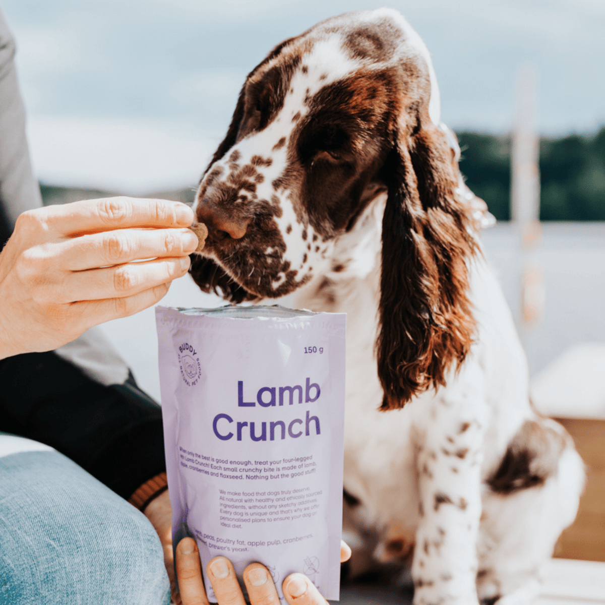 Skanėstai šunims su ėriena ir spanguolėmis Buddy Lamb Crunch