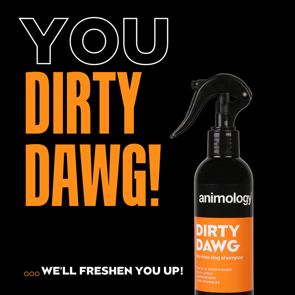 Sausas šampūnas šunims Animology Dirty Dawg No Rinse Shampoo (250 ml)