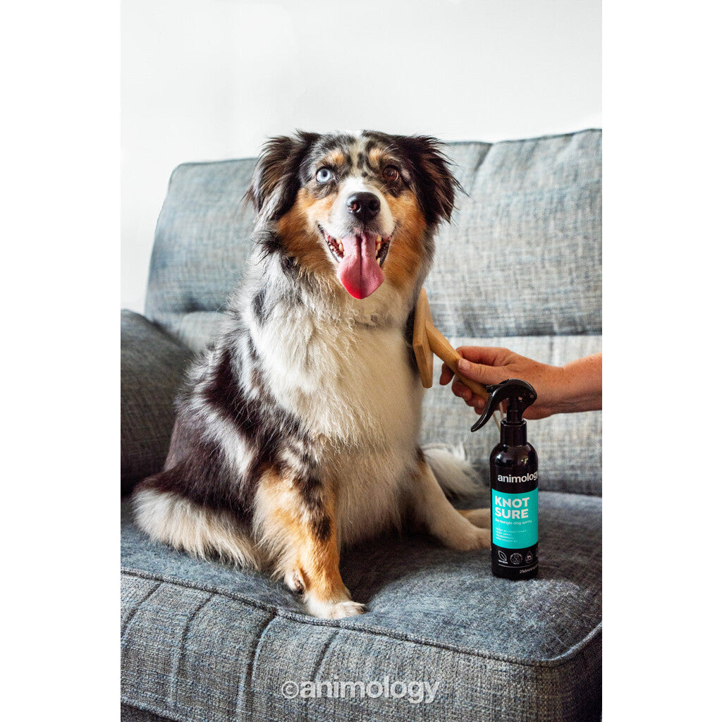 Purškiamas kondicionierius šunų kailio savėloms šukuoti Animology Knot Sure De-Tangle Spray (250 ml)