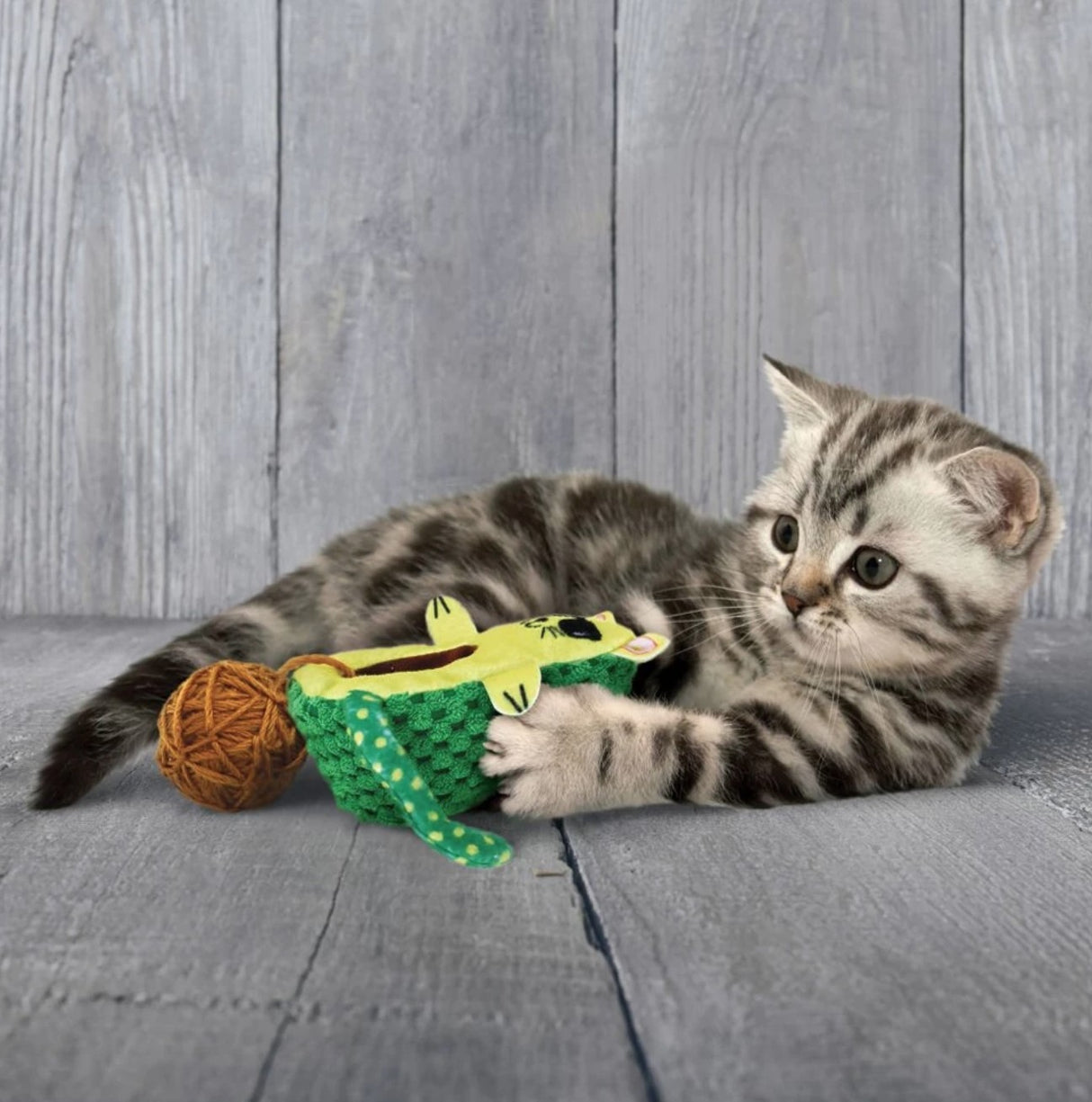 Žaislas KONG Wrangler AvoCATo