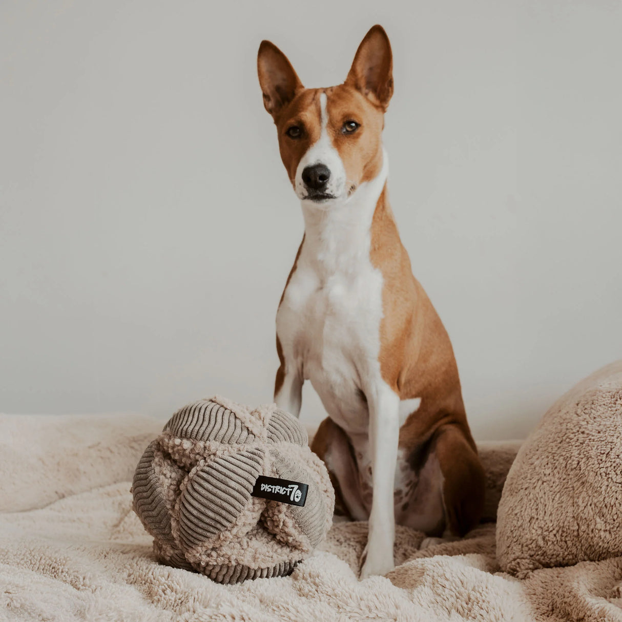 District 70 Bobby 19 cm