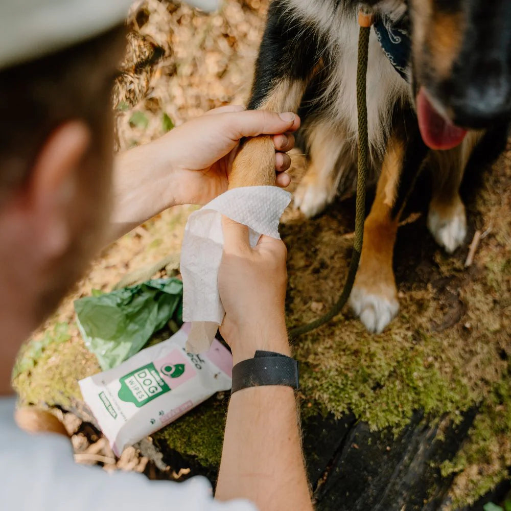 Drėgnos kelioninės higieninės servetelės "Beco" (kokosų kvapo)