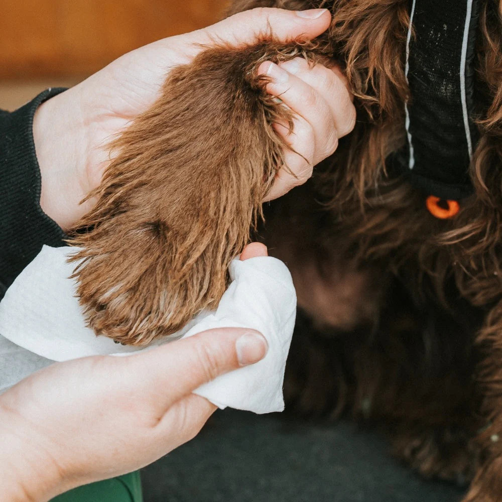 Drėgnos kelioninės higieninės servetelės "Beco" (bekvapės)