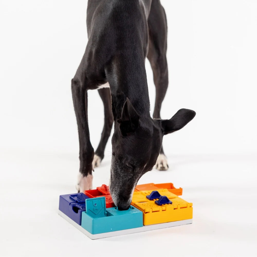 Dog Puzzle Pawzler Genius Set