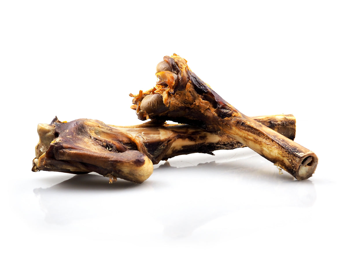 Elnio kaulas "Pets Best" (1 vnt)