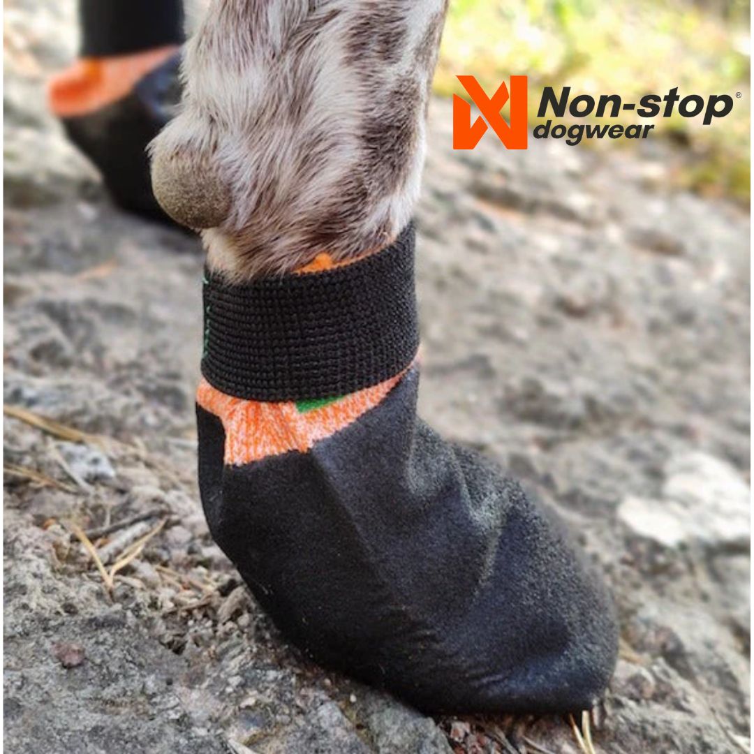 Batukai sunims non-stop