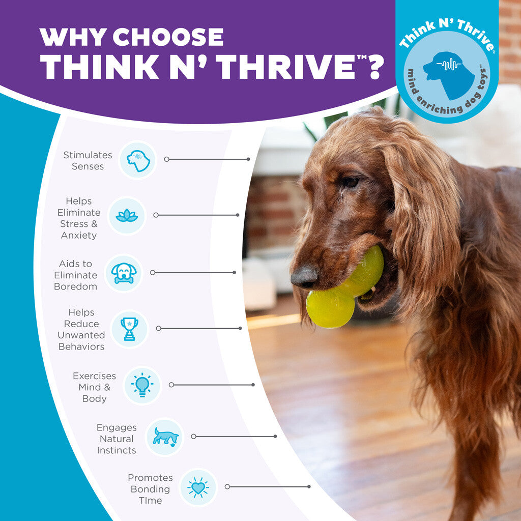 Interaktyvus ir skanėstais užpildomas žaislas šunims "Outward Hound Double-Tuff L Green"