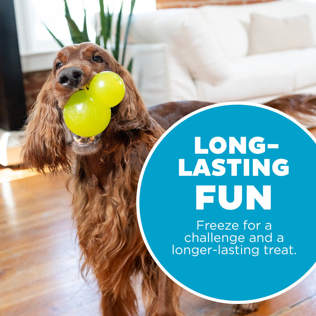 Interaktyvus ir skanėstais užpildomas žaislas šunims "Outward Hound Double-Tuff L Green"