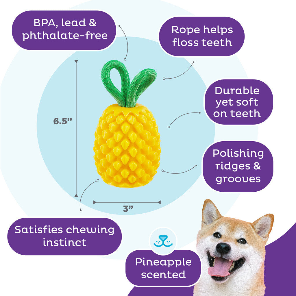 Žaislas šunims ananasas "Outward Hound Dental Pineapple"