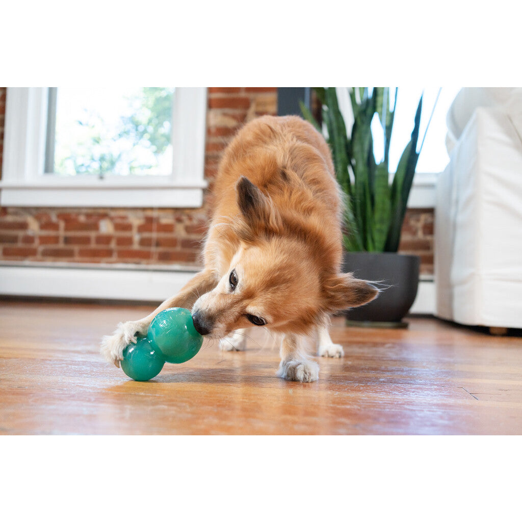 Interaktyvus ir skanėstais užpildomas žaislas šunims "Outward Hound Double-Tuff M Blue"