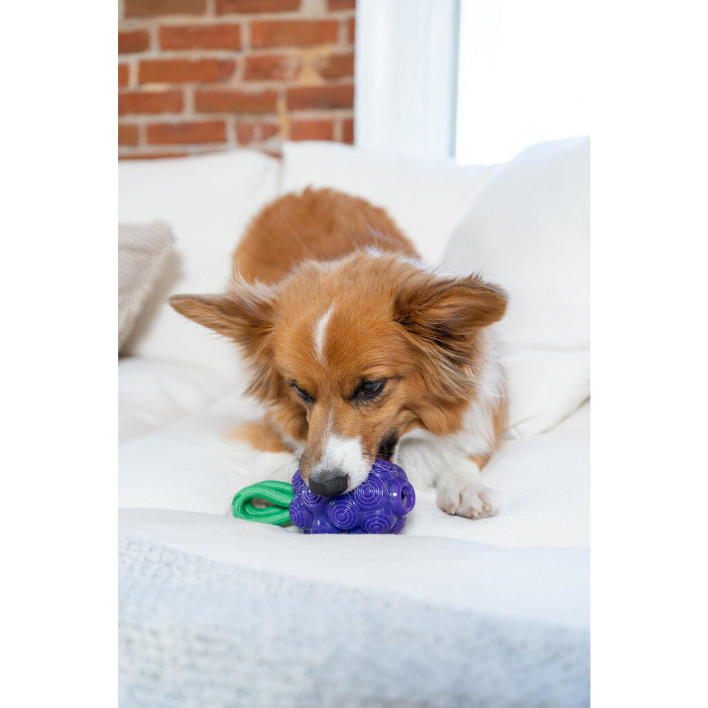 Žaislas šunims vynuogės "Outward Hound Dental Grapes"