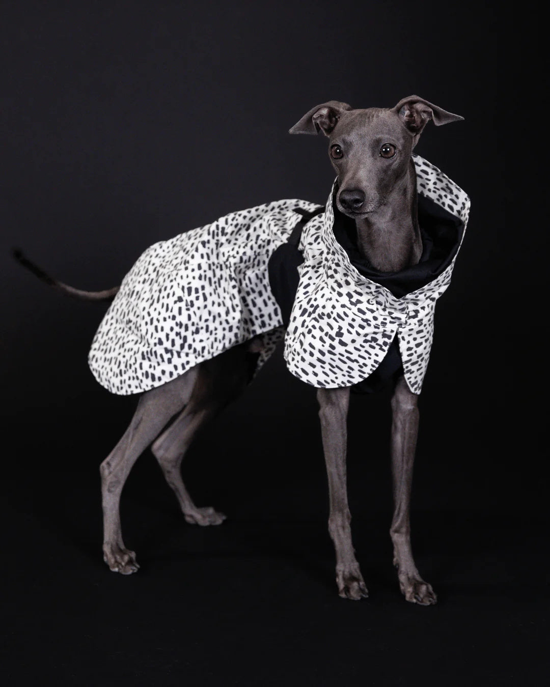 Lietpaltis PAIKKA Raincoat 2.0