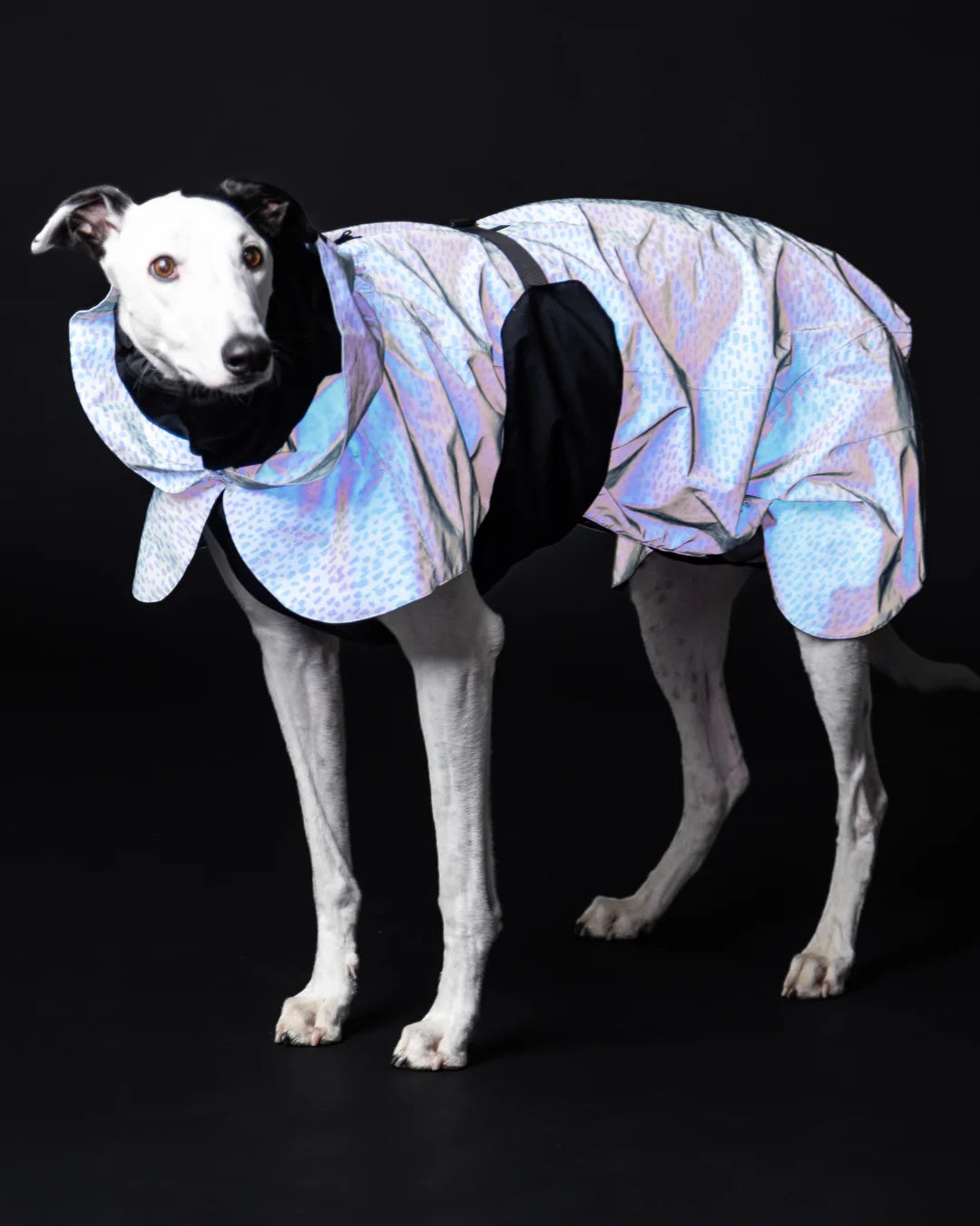 Lietpaltis PAIKKA Raincoat 2.0 Baby Blue