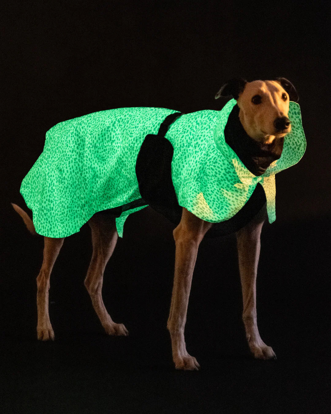 Lietpaltis PAIKKA Raincoat 2.0 Baby Blue