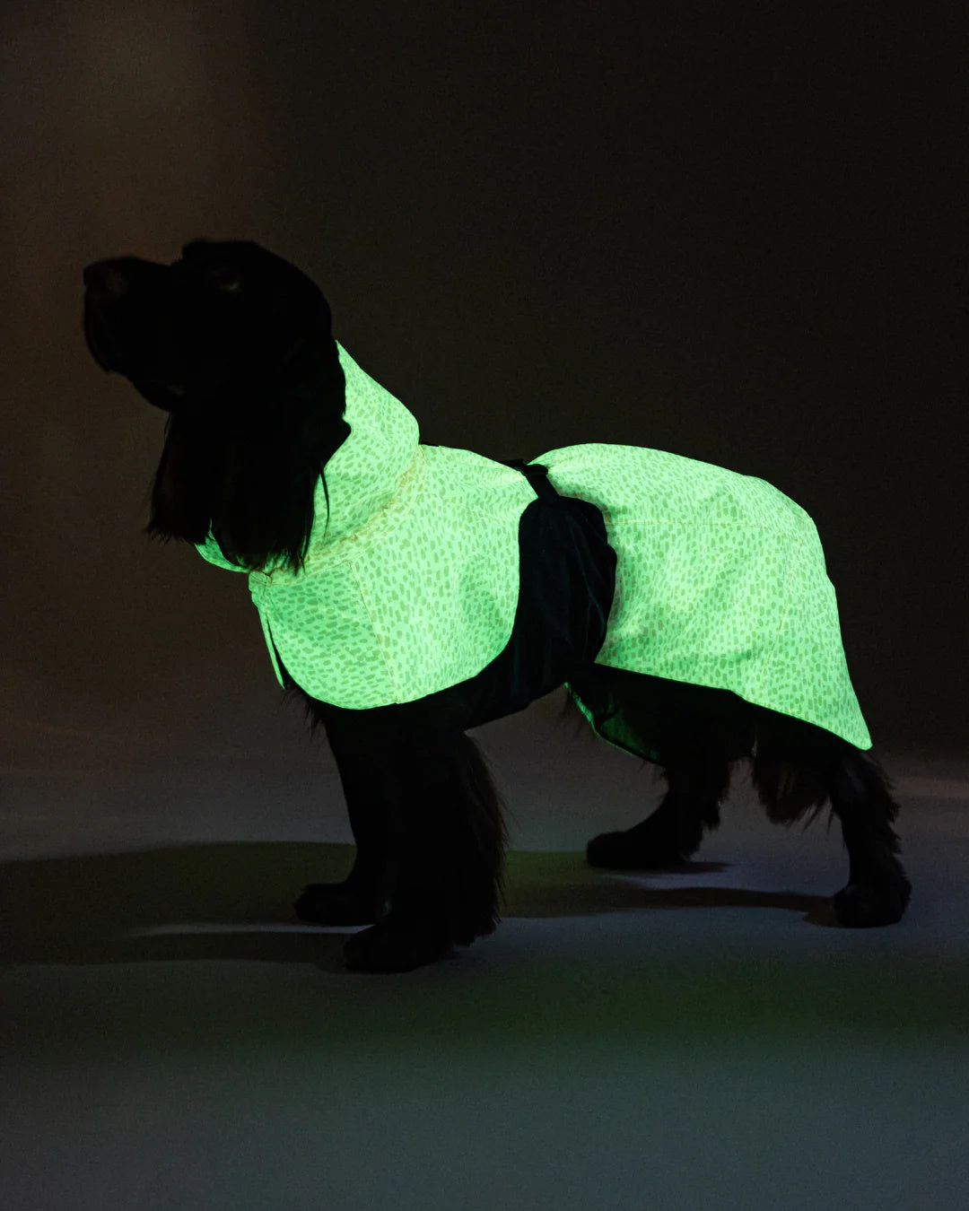 Lietpaltis PAIKKA Raincoat 2.0 Peach