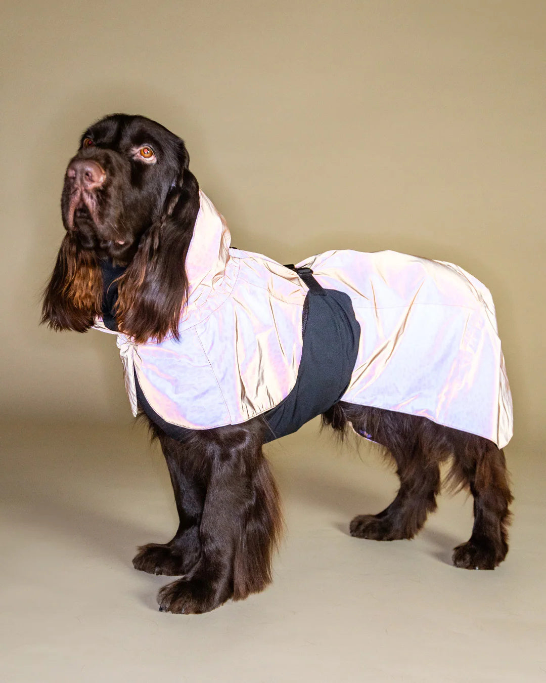 Lietpaltis PAIKKA Raincoat 2.0 Peach