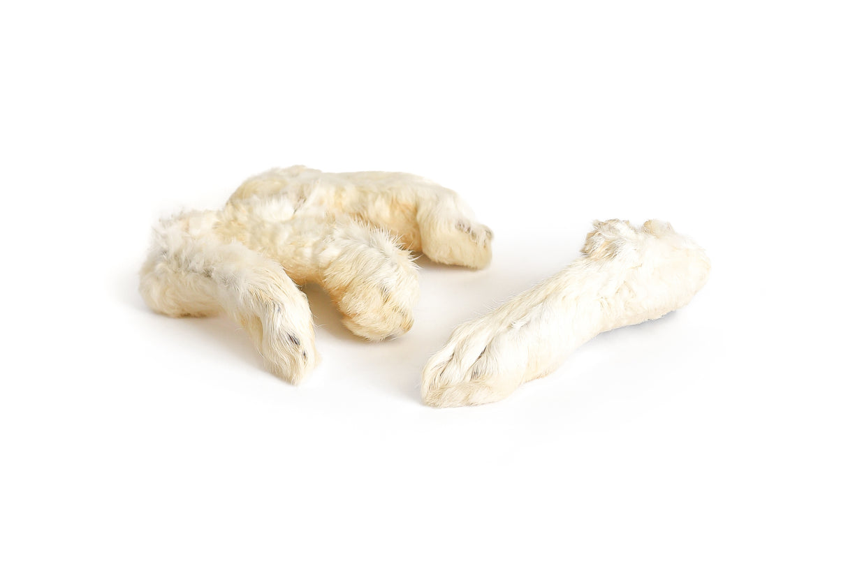 Pala triušių kojos