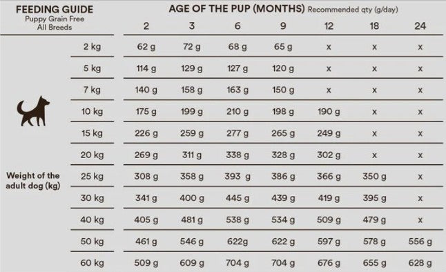 Maisto maziems suniukams maitinimo gidas Monster
