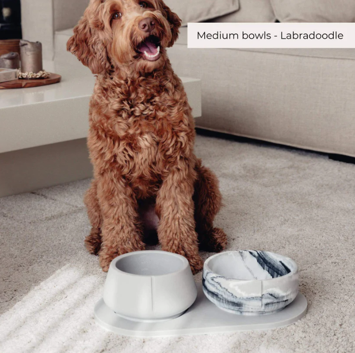 Dubenėlis šunims "Pino"