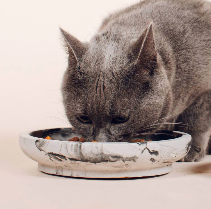 Dubenėlis katėms "Pino"