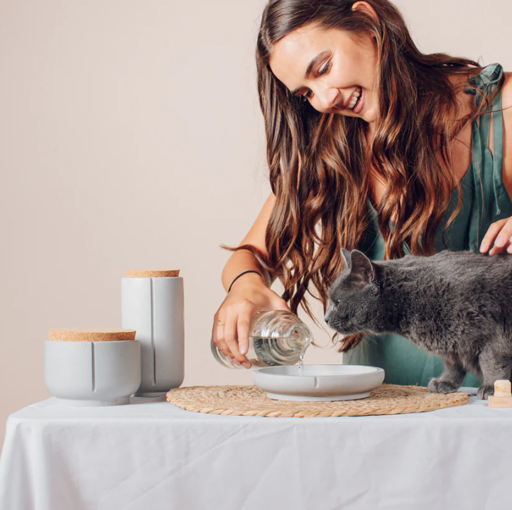 Dubenėlis katėms "Pino"