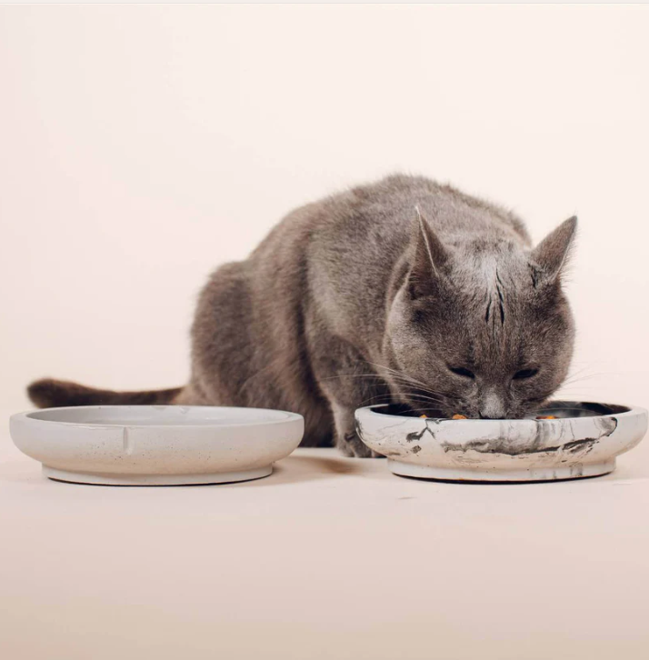 Dubenėlis katėms "Pino"