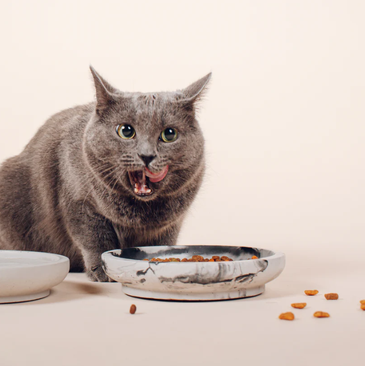 Dubenėlis katėms "Pino"