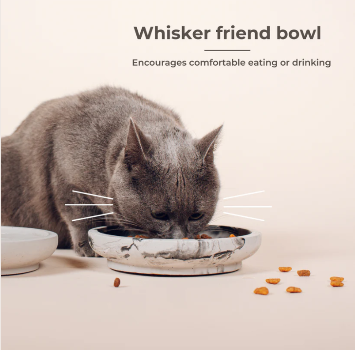 Dubenėlis katėms "Pino"