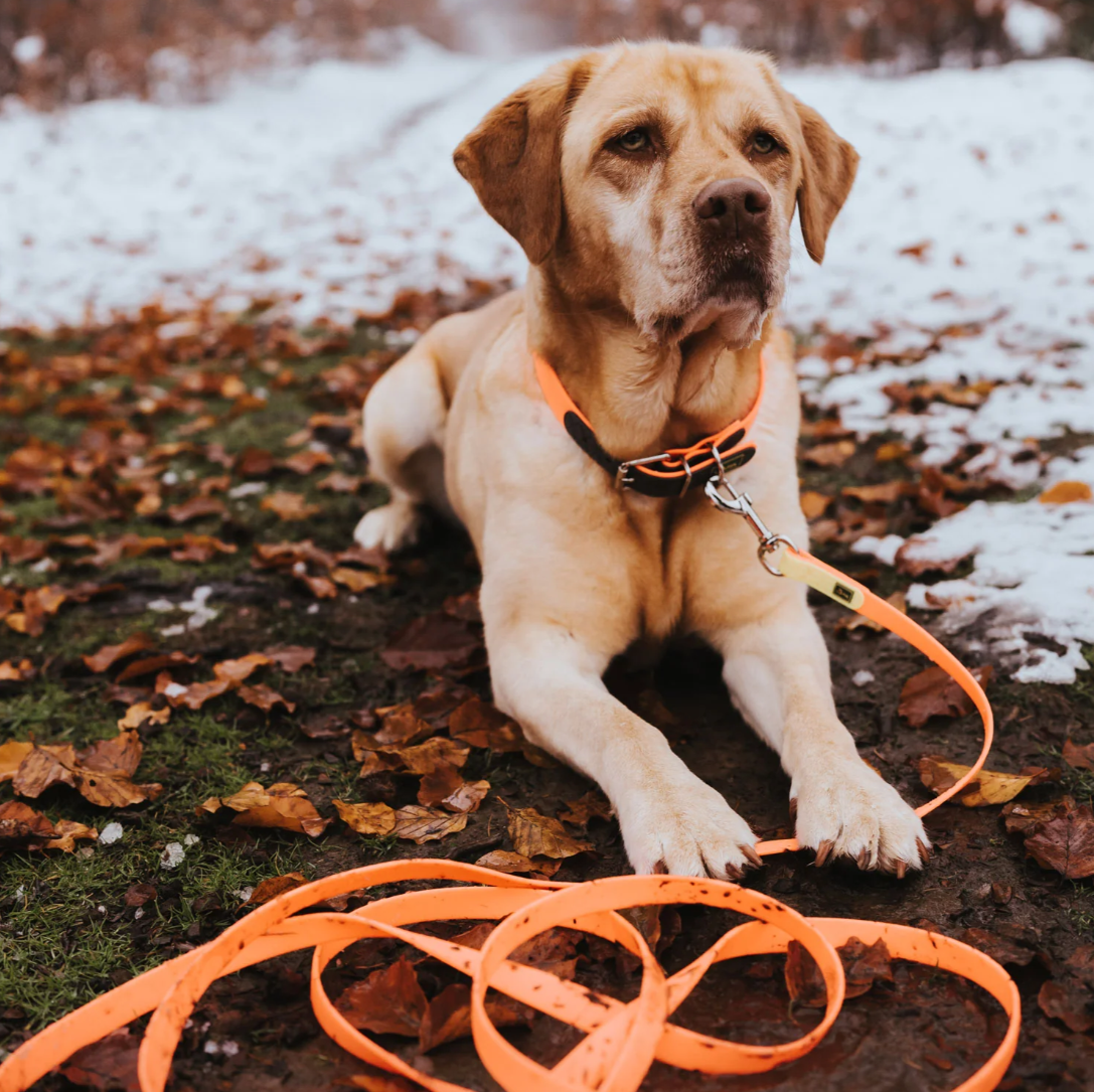 Pavadėlis treniruotėms 5 metrų "Hunter Tracking Leash Convenience"