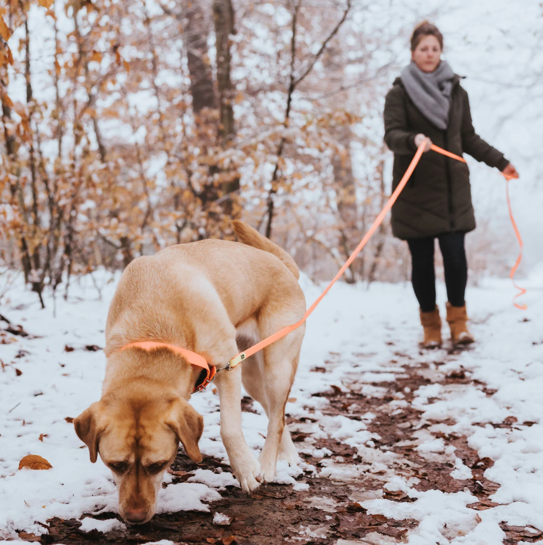 Pavadėlis treniruotėms 5 metrų "Hunter Tracking Leash Convenience"