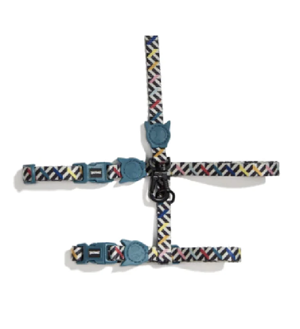 Petnešos su pavadėliu "Zee.Cat Fritz"