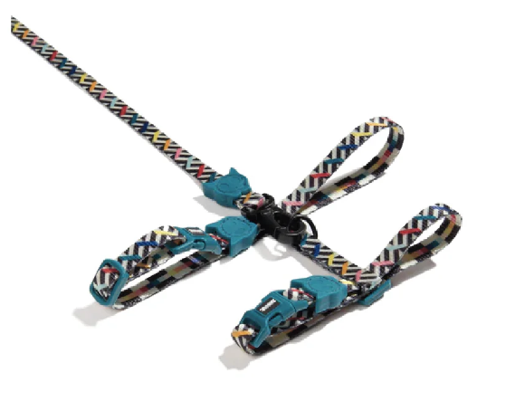 Petnešos su pavadėliu "Zee.Cat Fritz"