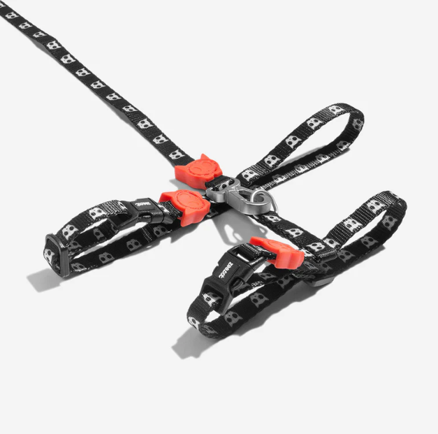 Petnešos su pavadėliu "Zee.Cat Skull"