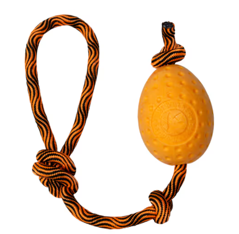 Žaislas "Kiwi Walker Let's Play Egg"