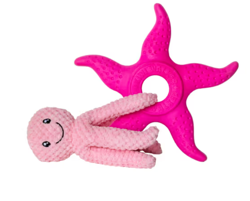 Žaislas Kiwi Walker Octopus & Starfish