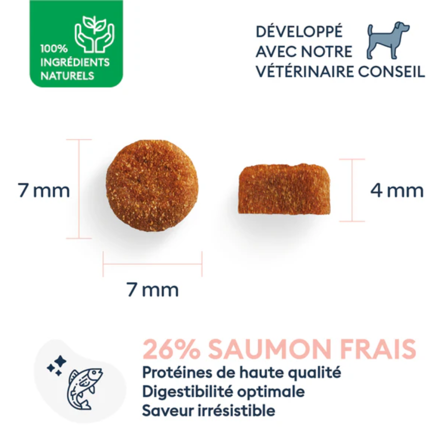 Marly & Dan sausas maistas mažų veislių jauniems šuniukams su lašiša