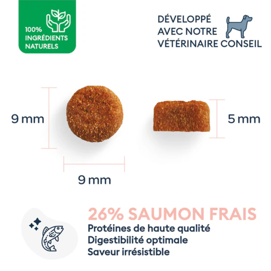 Marly & Dan sausas maistas vidutinių ir didelių veislių jauniems šuniukams su lašiša