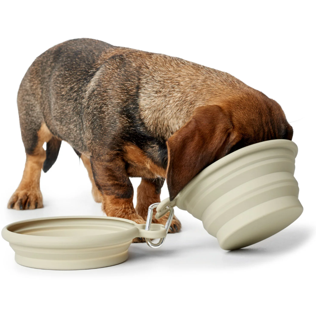 Silikoninis dubenėlis kelionėms "Hunter Travel Bow List"