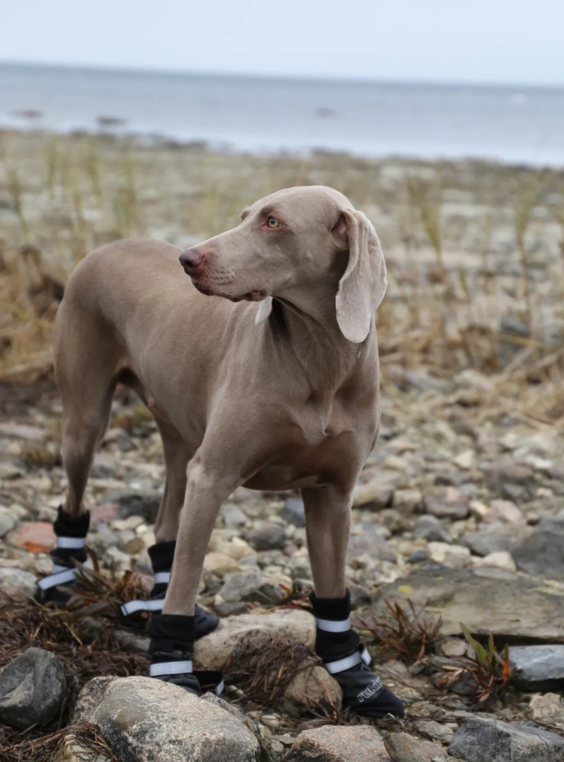 Batukai šunims "Rukka Thermal"