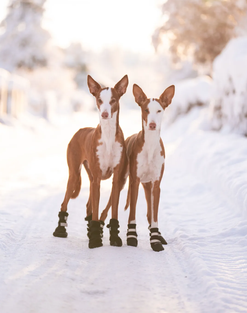 Batukai šunims "Rukka Thermal"
