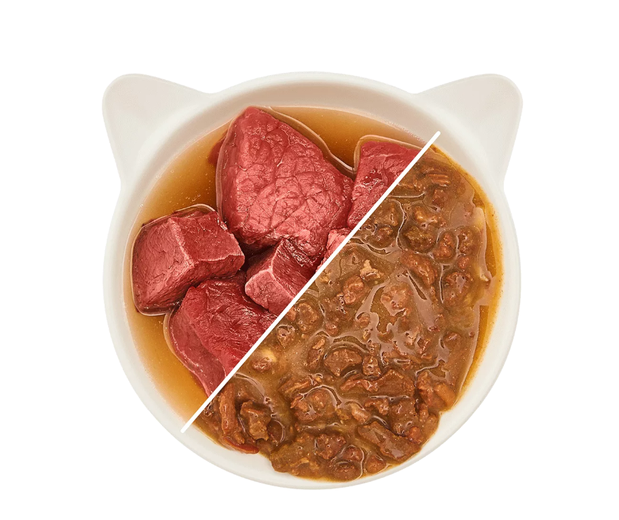 Wow Cat šlapias maistas suaugusioms katėms su jautiena padaže