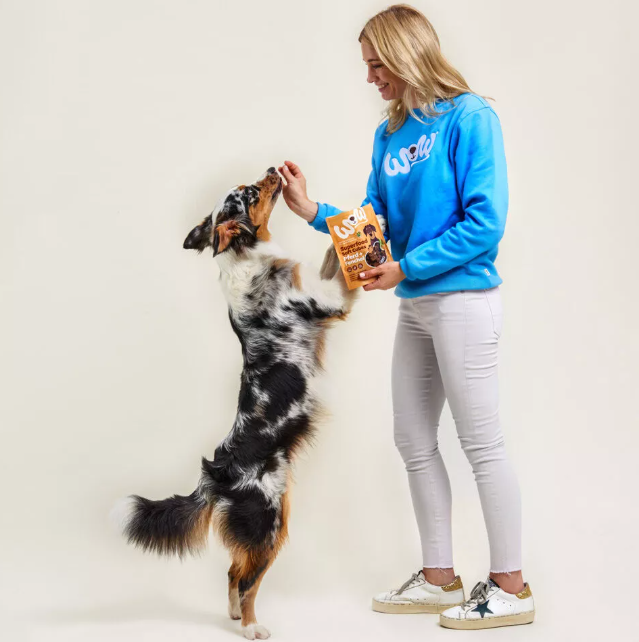 Minkšti skanėstai šunims su arkliena ir pankoliu Wow Dog Superfood Soft Cubes