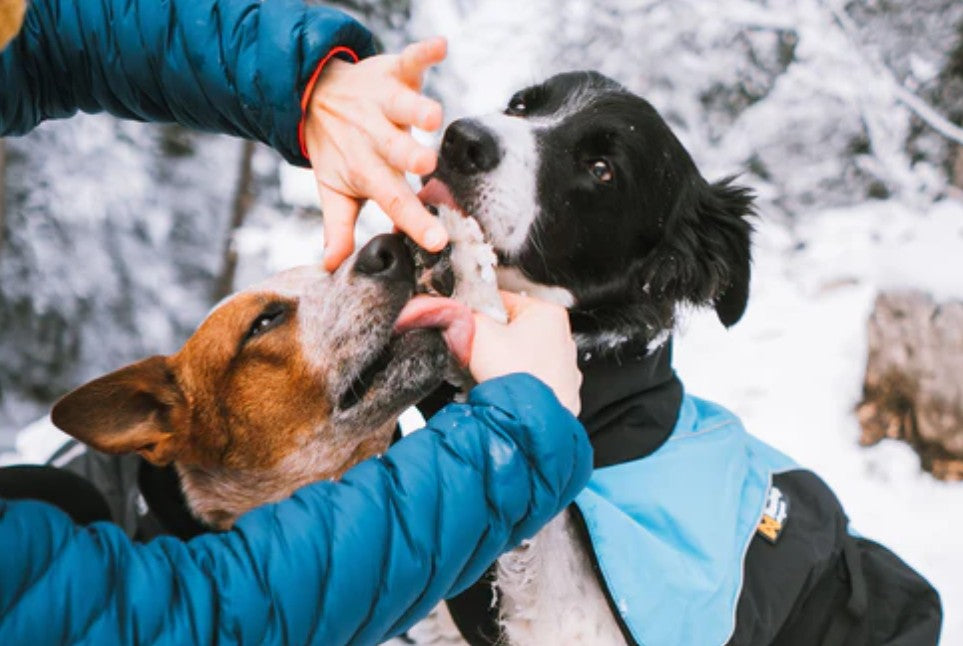Apsauginis balzamas augintinių pėdutėms "Non-stop Dogwear Paw Care"